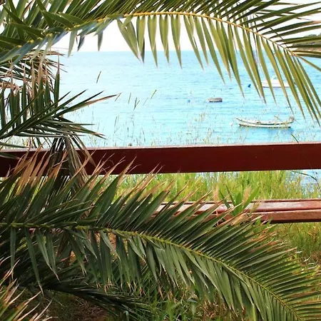 Apartament Damir 50 Meters From The *