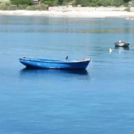 Apartment Damir 50 Meters From The Pula
