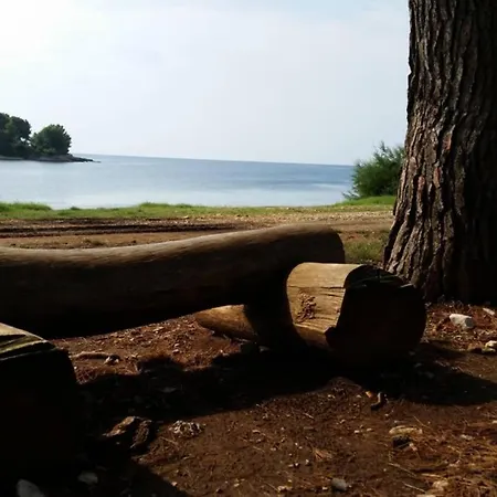 Damir 50 Meters From The Apartment Pula