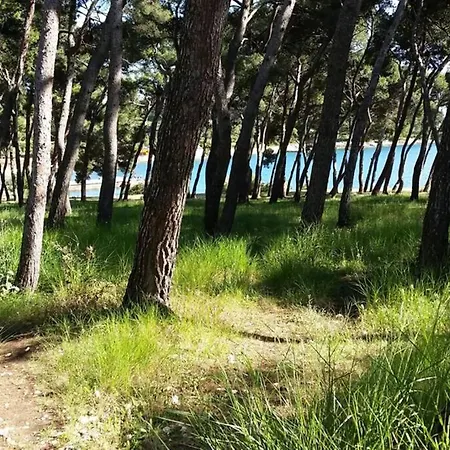 Damir 50 Meters From The Apartment