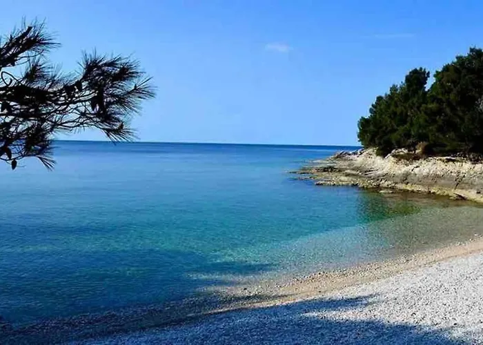 Damir 50 Meters From The Pula