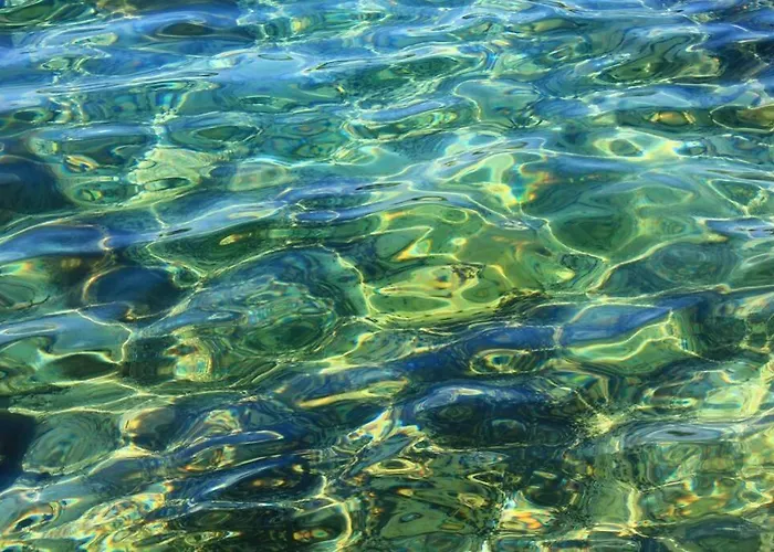 Damir 50 Meters From The Pula