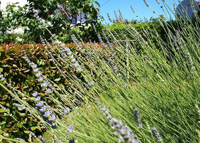 Lejlighed Damir 50 Meters From The