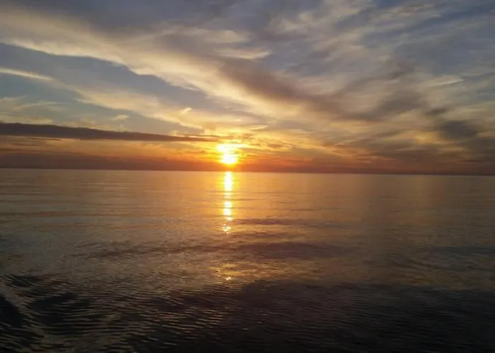 Damir 50 Meters From The Pula