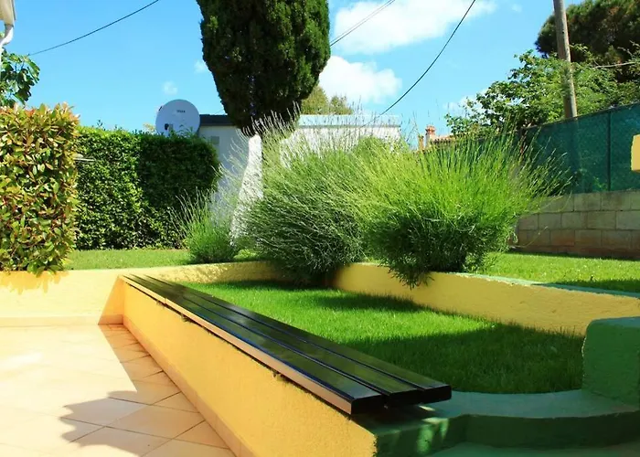 Damir 50 Meters From The Lejlighed Pula