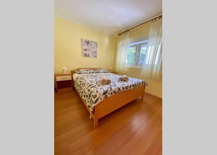 Damir 50 Meters From The Lejlighed Pula