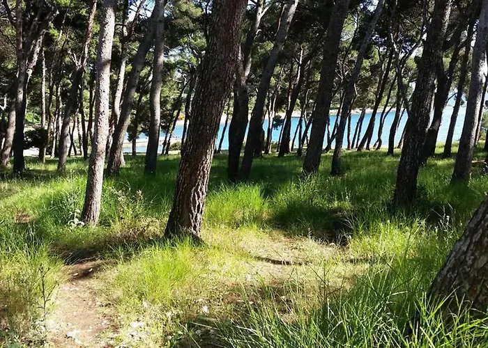 Damir 50 Meters From The Lejlighed