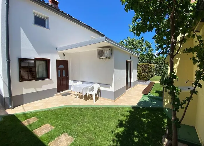 Damir 50 Meters From The Lejlighed *