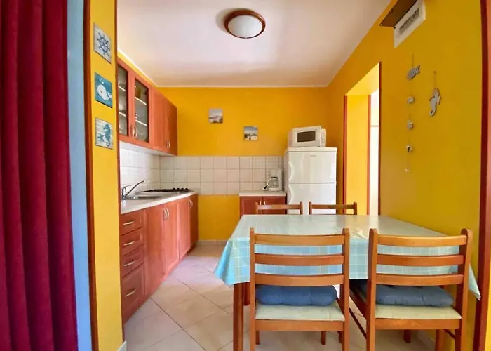 Damir 50 Meters From The Lejlighed *