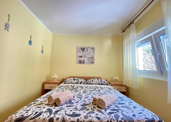 Damir 50 Meters From The Lejlighed Pula